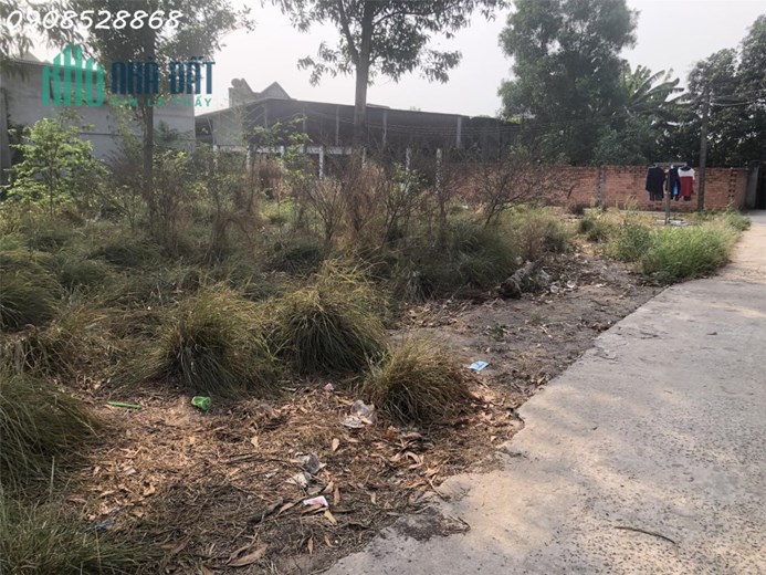 Bán đất Phước Thái, 100m2, full thổ cư, gần chợ, giá chỉ 1 tỷ x. LH 0908528868