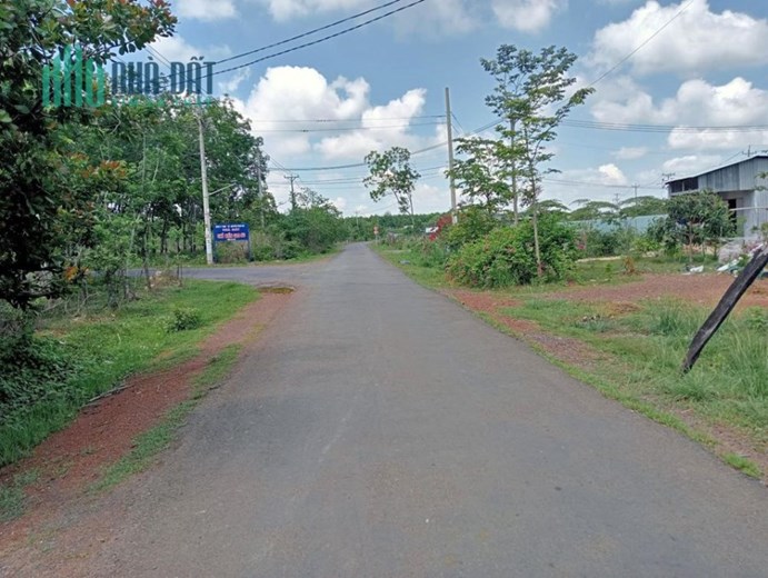 CHÚ TƯ TUỔI GIÀ CẦN BÁN MẢNH ĐẤT 1245M2 CÓ 500M THỔ CƯ NGAY CHỢ, SÂN BAY.