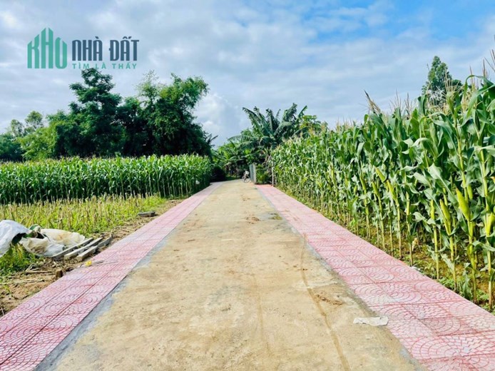 Đất Nền Đại Lộc , Giá chỉ từ 380 triệu/ nền, 160 m2 Đất ở hoàn toàn