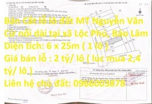 Bán Cắt lỗ lô đất MT Nguyễn Văn Cừ nối dài tại xã Lộc Phú, Bảo Lâm