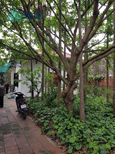 Bán nhà Khê Nữ diện tích 370 m2 Nguyễn Khê Đông Anh chỉ 13,2 tỷ