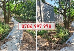 💥Bán đất vị trí đẹp tại An Nhơn, P.6, TP.Cao Lãnh, Đồng Tháp; 0704997978