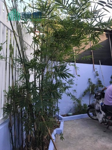 nhà cấp 4, dt rộng, kiệt ô tô, sổ đẹp, gần Mẹ suốt, giá mềm.