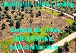 Bán dự án đất nền tại xây dựng tại Đan Phượng – Lâm Hà, T. Lâm Đồng