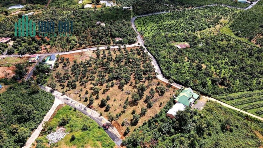 Bán đất nền thổ cư cách tp Bảo Lộc 10 phút, đất đang có vườn sầu riêng