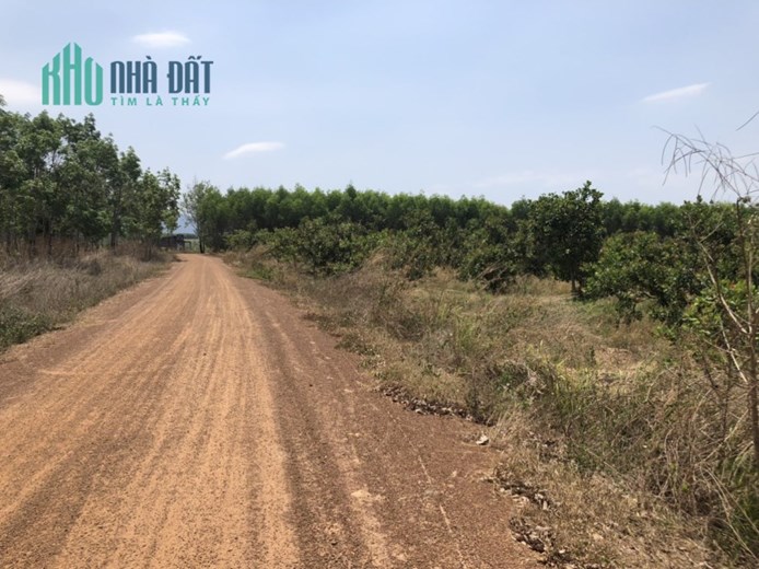 CHÍNH CHỦ CẦN BÁN GẤP LÔ ĐẤT GIÁ LỖ NGAY TÂN ĐỨC - HÀM TÂN - BÌNH THUẬN