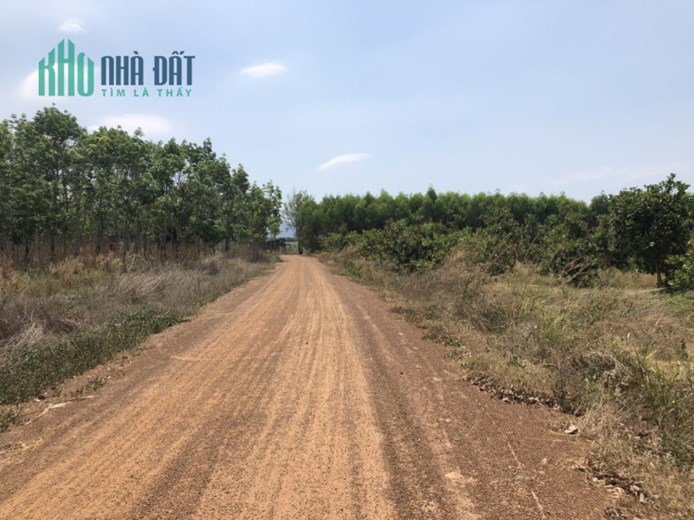 CHÍNH CHỦ CẦN BÁN GẤP LÔ ĐẤT GIÁ LỖ NGAY TÂN ĐỨC - HÀM TÂN - BÌNH THUẬN