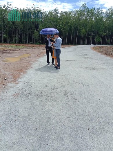 Cần bán lô đất tại Ấp Phước Tân Xã Tân Phước Huyện Đồng Phú Bình Phước.