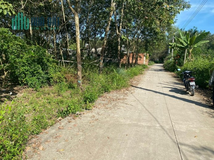 Chính chủ cần tiền gấp bán gấp lô Đất nền đầu tư KCN An Linh 369m2