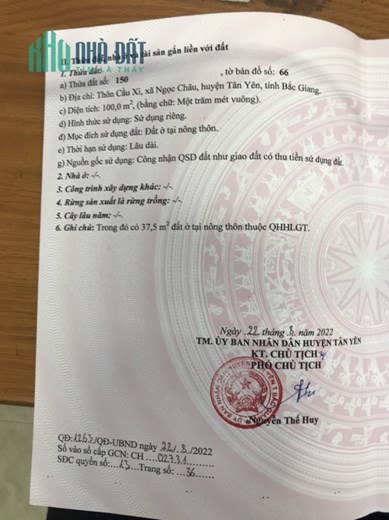 BÁN 2 LÔ ĐẤT MẶT ĐƯỜNG TỈNH LỘ 295, TRUNG TÂM XÃ NGỌC CHÂU, TÂN YÊN, BẮC GIANG.