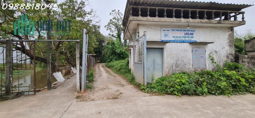 Phát mại đất Văn Tự, huyện Thường Tín, Hà Nội ( gần chợ Tía) - 193m2,  miễn MG, nhỉnh 400 triệu
