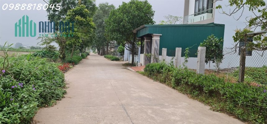 Phát mại đất Văn Tự, huyện Thường Tín, Hà Nội ( gần chợ Tía) - 193m2,  miễn MG, nhỉnh 400 triệu
