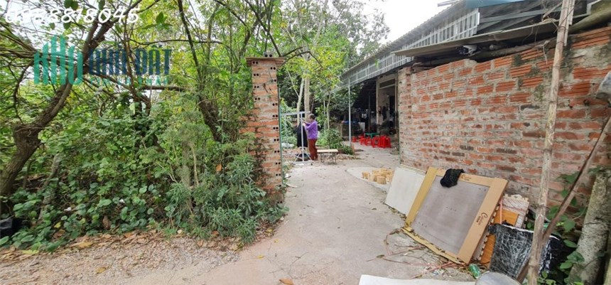 Phát mại đất Văn Tự, huyện Thường Tín, Hà Nội ( gần chợ Tía) - 193m2,  miễn MG, nhỉnh 400 triệu