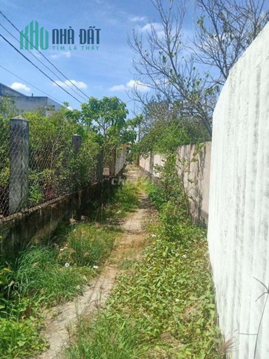 Chính Chủ Bán GẤP Đất 2 MẶT TIỀN Vị Trí Đẹp Tại Xã Quê Mỹ Thạnh, Huyện Tân Trụ - Long An