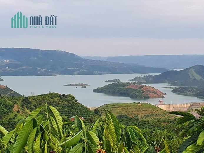 Đất view sông Đồng Nai, nhà đang làm vườn cần tiền lo cuộc sống nên bán rất gấp. Chính chủ đăng tin