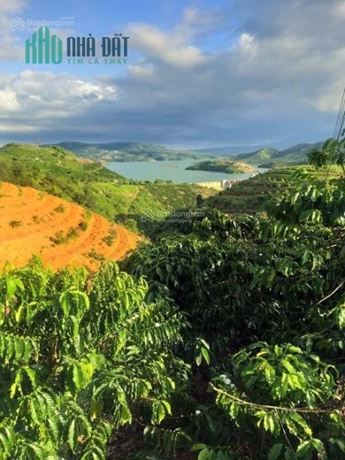 Đất view sông Đồng Nai, nhà đang làm vườn cần tiền lo cuộc sống nên bán rất gấp. Chính chủ đăng tin