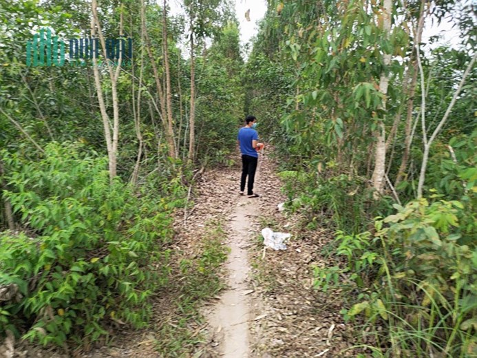 chính chủ bán đất   Bờ kênh C3 xã Thạnh Lợi, Bến Lức: Long An