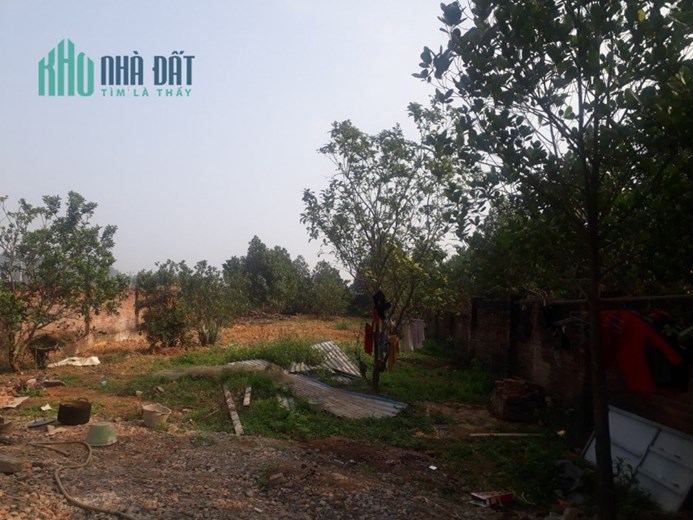CHÍNH CHỦ HỢP TÁC THUÊ ĐẤT CHƯƠNG MỸ 550M2 GIÁ 4,5TR/THÁNG. LH:0376141793
