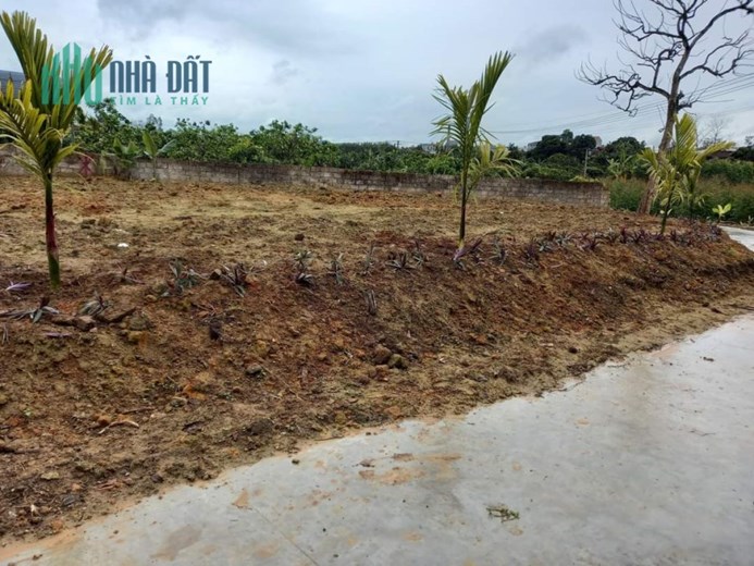 Chính chủ cần tiền bán nhanh lô đất thuộc Thôn Trại Chuối 2- Xã Đồng Kỳ- Huyện Yên Thế- Tỉnh Bắc
