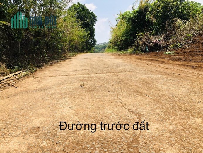 MỞ BÁN 18 LÔ ĐẤT MẶT TIỀN TỈNH LỘ 697C Quy Hoạch Mở Rộng 27m Tại Krông Búk
