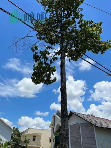 Chính chủ bán đất mặt tiền đường số 4, Phường Long Thạnh Mỹ, TP. Thủ Đức TP.HCM