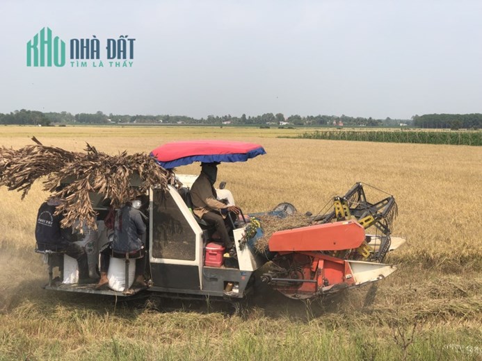 Cần giải cứu đất ngộp! Khách quan tâm liên hệ em ngay nhé.
