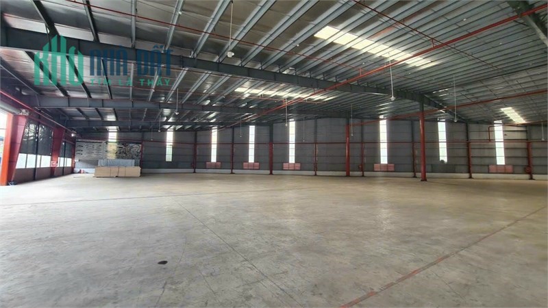 Kho Ngoại Quan. Đa dạng diện tíc thuê, vị trí đẹp lưu thông hàng hóa 24h. hệ thống kho đẹp