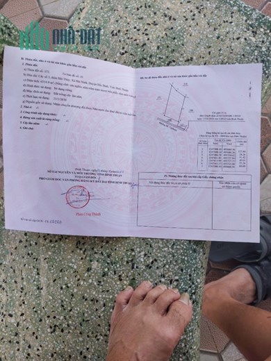 Chính Chủ Bán Đất Sổ Hồng Riêng Giá Rẻ MT Trung Tâm Bắc Bình-BT