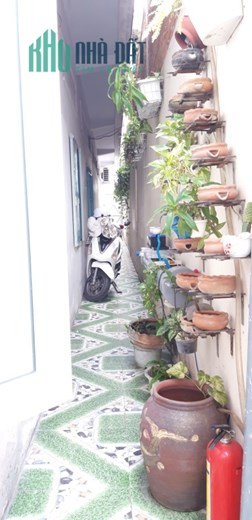 Cho thuê căn hộ 65m2 MT 399 Nguyễn Trọng Tuyển, P2, Tân Bình - HCM