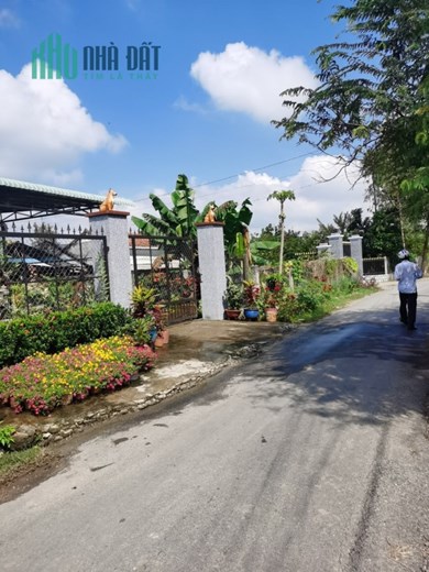 bán đất full thổ,gần ngã ba Gò Mối, ấp Chánh,xã Đức Lập Hạ ,Huyện Đức Hòa , Long An 329m2,
