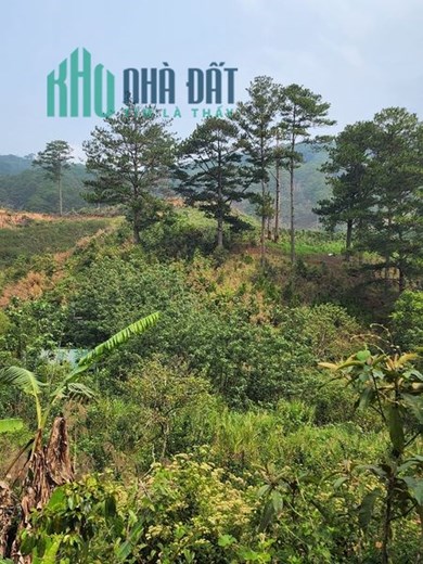 ( Sos Sos ) Giảm Chỉ còn 5.5 tỷ sở hữu ngay Bán gấp lô đất mặt tiền QL723 tại Đa Sar, Lạc Dương