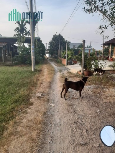 Chính chủ cần bán nhanh lô đất tại Thuận Hòa 1 Hòa khánh Nam, Huyện Đức Hòa, Long An