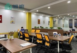 Cho thuê Mặt Bằng VP mặt tiền đường Trần Xuân Soạn, P.Tân Hưng
