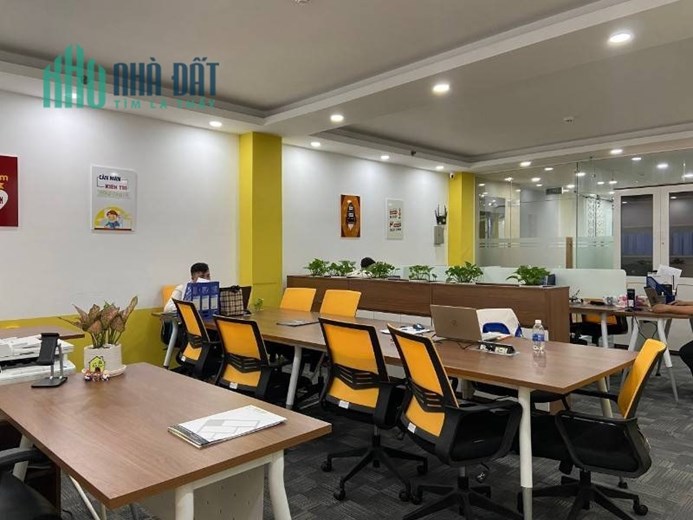 Cho thuê Mặt Bằng VP mặt tiền đường Trần Xuân Soạn, P.Tân Hưng
