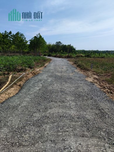 TIẾT KIỆM ĐƯỢC BÂY LÂU NAY MỚI MUA ĐƯỢC LÔ ĐẤT MÀ KHÔNG ĐÚNG THỜI ĐIỂM.