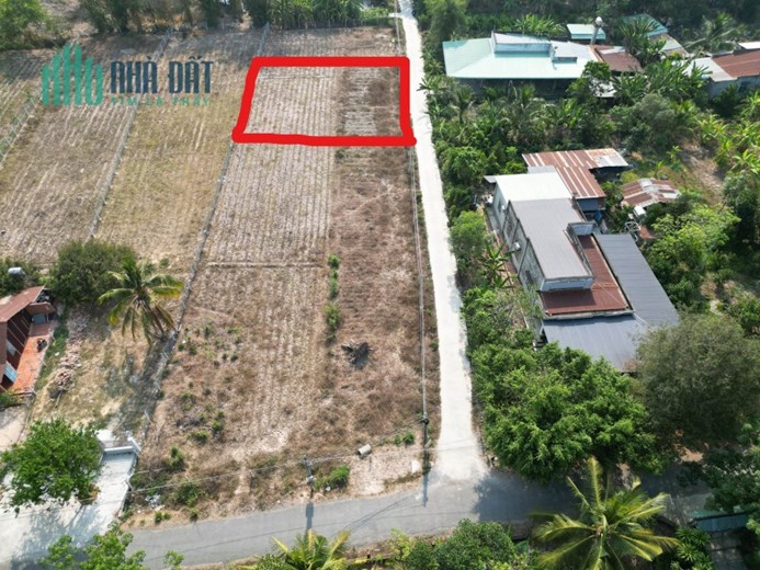 Cao Tốc HCM – Xa Mát Sẽ Khởi Công Vào Năm 2024 Mà Đất Nền Gò Dầu Chỉ 7xxTr/NỀN