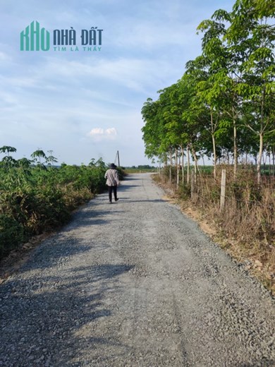 Sinh lời ổn định với đất vườn chỉ 393 triệu/sào - Sổ riêng Tây Ninh