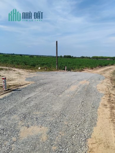 Sinh lời ổn định với đất vườn chỉ 393 triệu/sào - Sổ riêng Tây Ninh