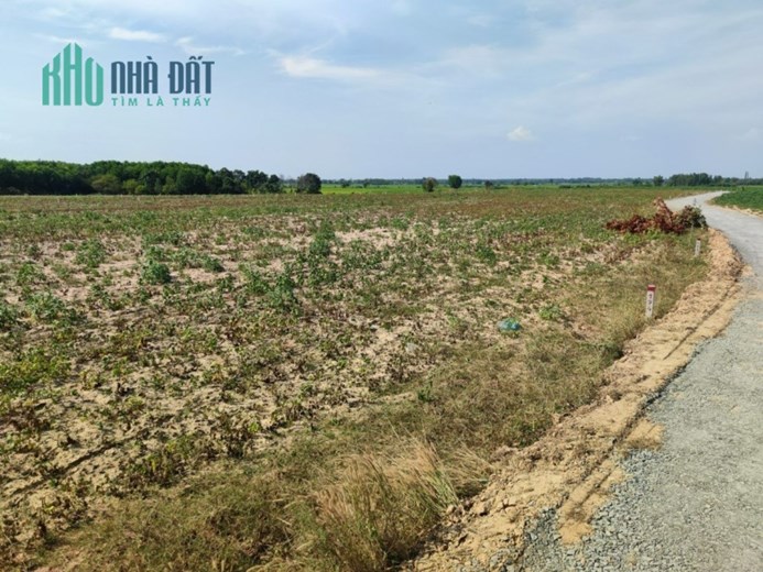 Giá giảm cực mạnh - SHR - chủ cần bán gấp 1600m2 Tây Ninh