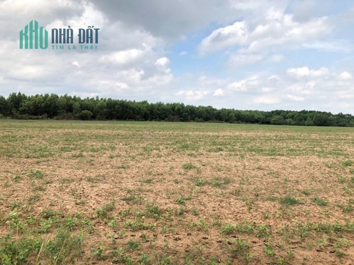 CHỦ HẠ GIÁ BÁN GẤP THU HỒI 1600M2 ĐẤT ĐẸP CHÂU THÀNH
