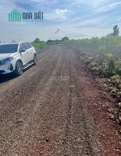Chính chủ bán 6868 m2 đất Phước Long Thọ Huyện Đất Đỏ, Bà Rịa - Vũng Tàu