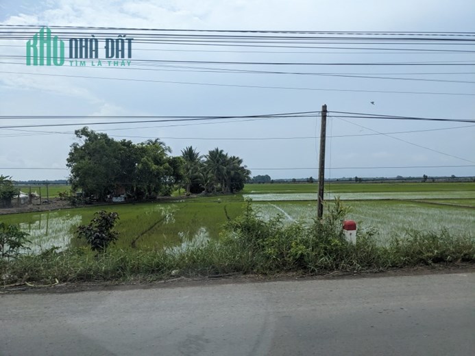 ĐẤT THÌ ĐẸP, HIỆN ĐANG BÁN PHÁ GIÁ THỊ TRƯỜNG, KHÔNG MUA LÀ TIẾC