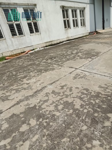 Bán 12000m2 đất kho nhà xưởng 50 năm tại Ngọc Sơn, Tứ Kỳ, Tỉnh Hải Dương