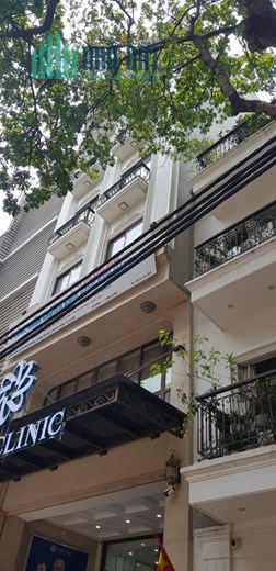 💥 Bán nhà Mặt phố Hàn Thuyên,  Hoàn Kiếm, 300m2 4T MT 20m, Chỉ 195 Tỷ 💥