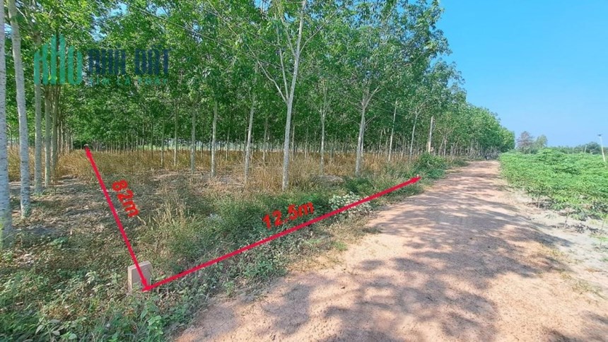 BÁN GẤP 3 Lô Đất MẶT TIỀN Vị Trí Đẹp Tại Ấp Tân Thanh, Xã Tân Phú, Huyện Tân Châu - Tây Ninh