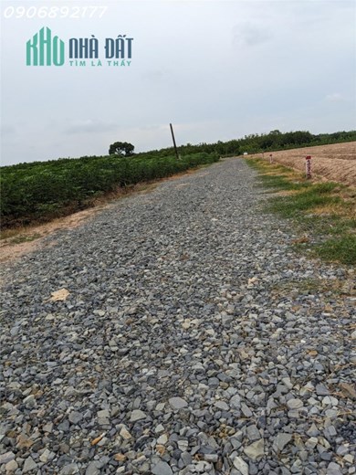 Đất sào giá rẻ ngay tại Châu Thành !!
