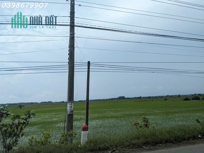 Bán lỗ 4330m2 giá rẻ bèo - Sổ hồng riêng khu dân cư ở Châu Thành