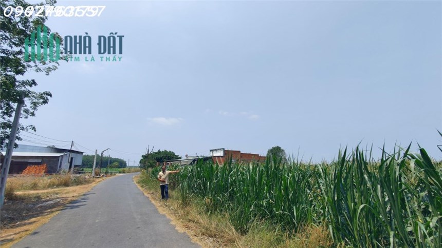 Đất rẻ đẹp tại khu vực năng động - Hãy nhanh tay sở hữu