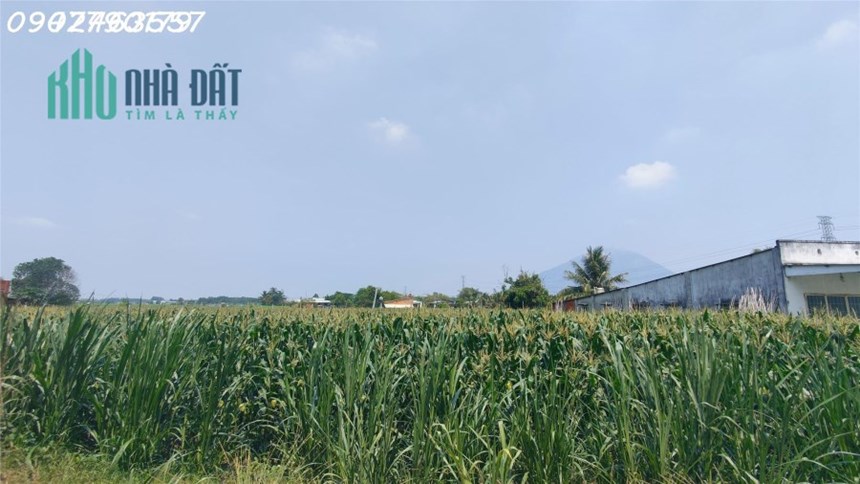 khả năng đầu tư đất giá tốt tại quỹ đất thu hút