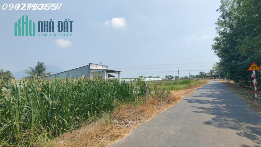 Cơ hội đầu tư đất giá tốt tại vùng đất hấp dẫn